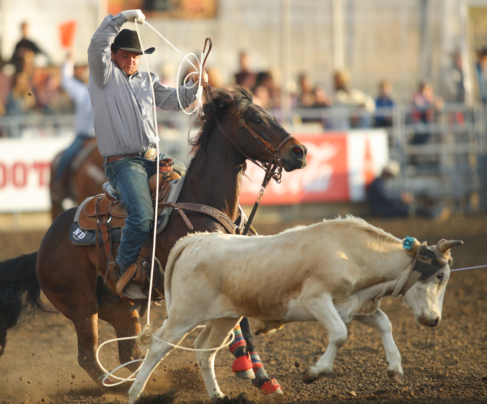 060119 Elks Rodeo Saturday 05.jpg
